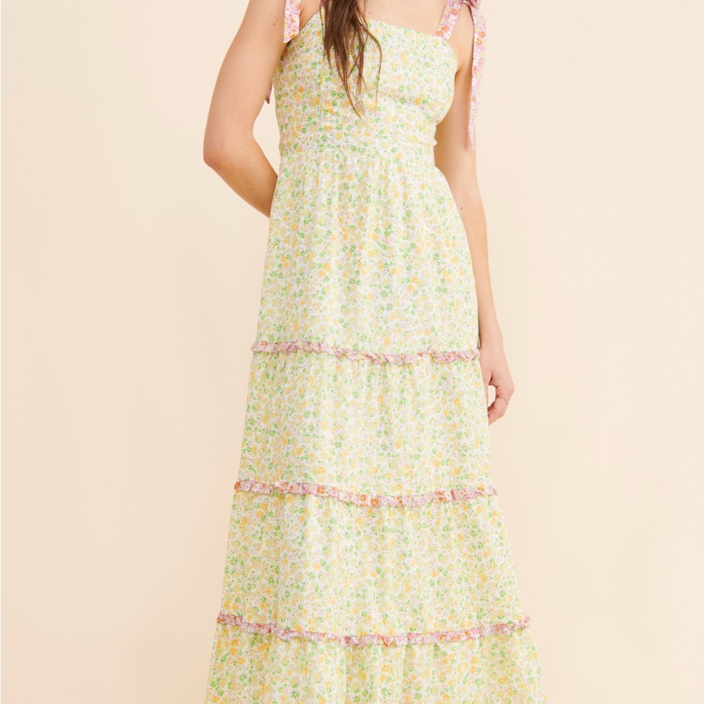 Lost + Wander XS Cecilia Maxi Dress - Floral Dress with Pink and Green Accents